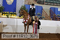 11r12_3676 proof