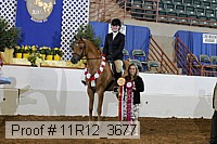 11r12_3677 proof