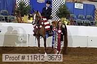 11r12_3679 proof