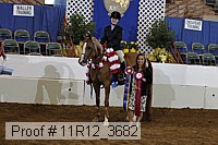 11r12_3682 proof