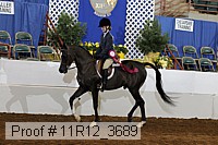 11r12_3689 proof