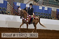 11r12_3692 proof