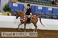 11r12_3693 proof