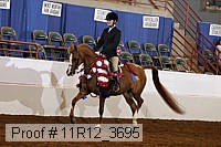 11r12_3695 proof