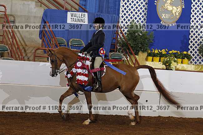 Proof 11r12_3697