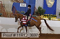 11r12_3697 proof