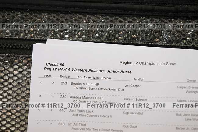 Proof 11r12_3700
