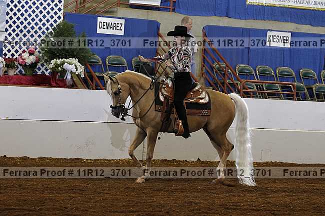 Proof 11r12_3701