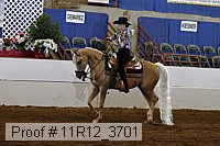 11r12_3701 proof