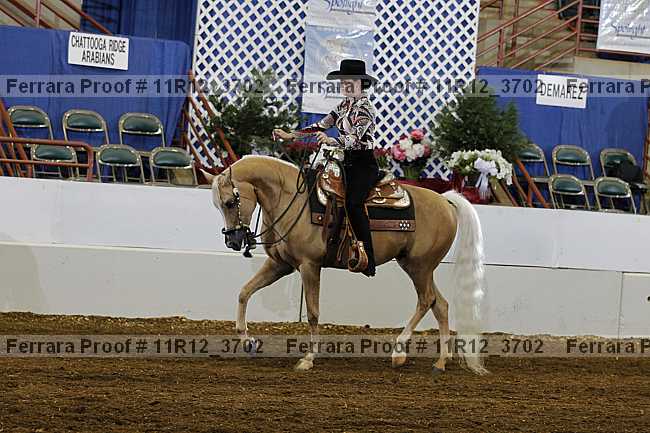 Proof 11r12_3702