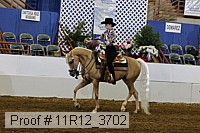 11r12_3702 proof