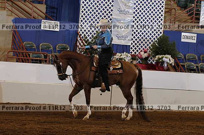 Proof 11r12_3703