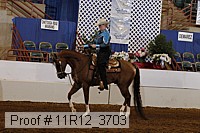 11r12_3703 proof