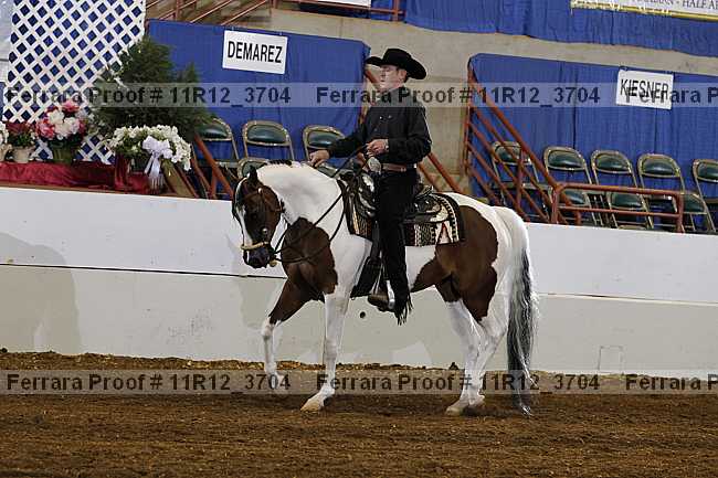 Proof 11r12_3704