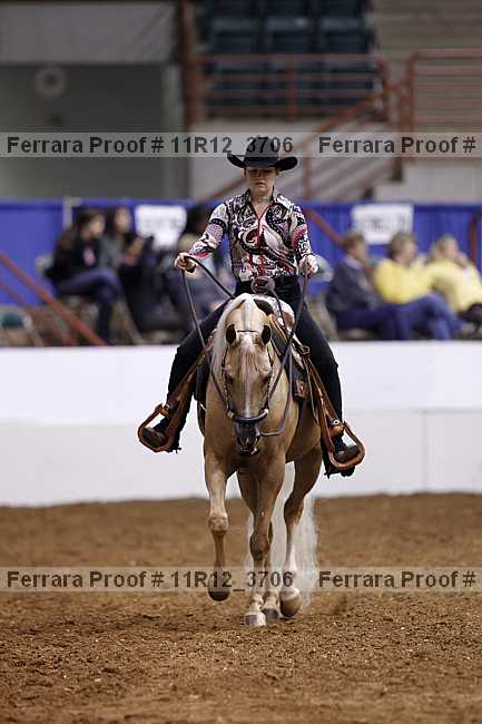 Proof 11r12_3706