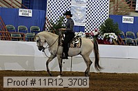 11r12_3708 proof
