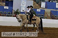 11r12_3710 proof