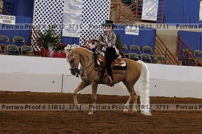Proof 11r12_3711