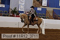 11r12_3711 proof