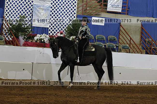 Proof 11r12_3713