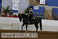 11r12_3713 proof
