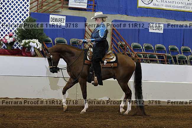 Proof 11r12_3718