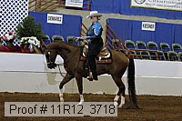 11r12_3718 proof