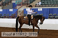 11r12_3719 proof