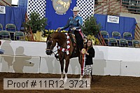 11r12_3721 proof