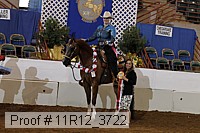 11r12_3722 proof
