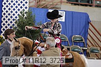 11r12_3725 proof