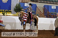 11r12_3726 proof