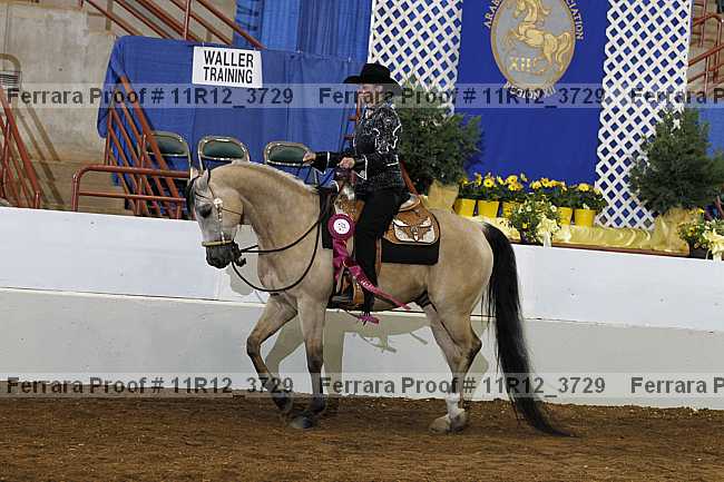 Proof 11r12_3729