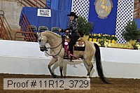 11r12_3729 proof