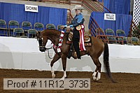 11r12_3736 proof