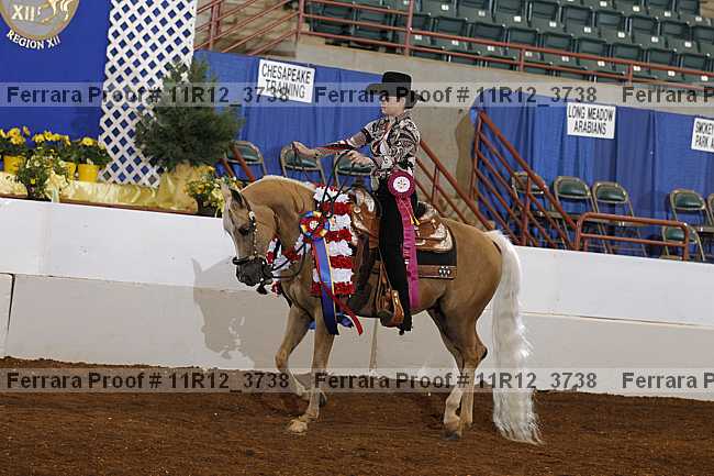 Proof 11r12_3738