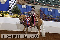11r12_3738 proof