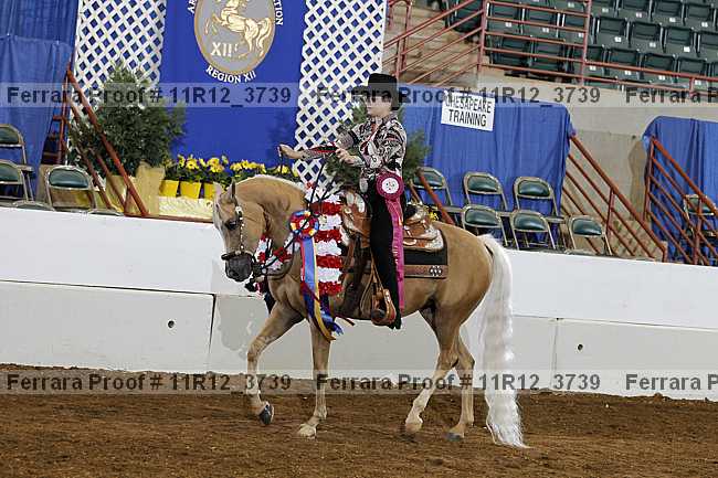 Proof 11r12_3739