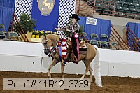 11r12_3739 proof