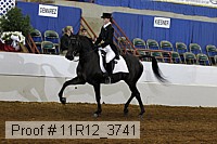 11r12_3741 proof