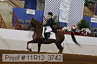 11r12_3742 proof