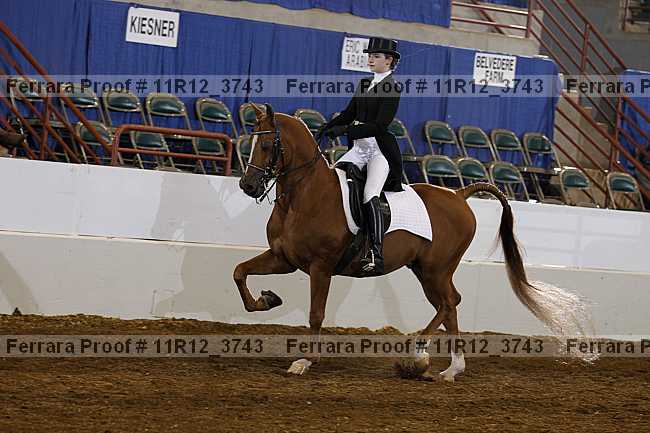 Proof 11r12_3743