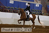 11r12_3743 proof