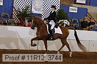 11r12_3744 proof