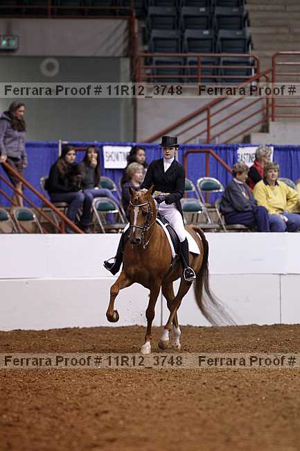 Proof 11r12_3748