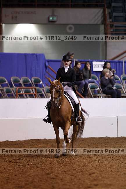 Proof 11r12_3749