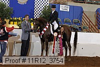 11r12_3754 proof