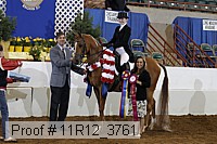 11r12_3761 proof