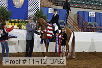 11r12_3762 proof