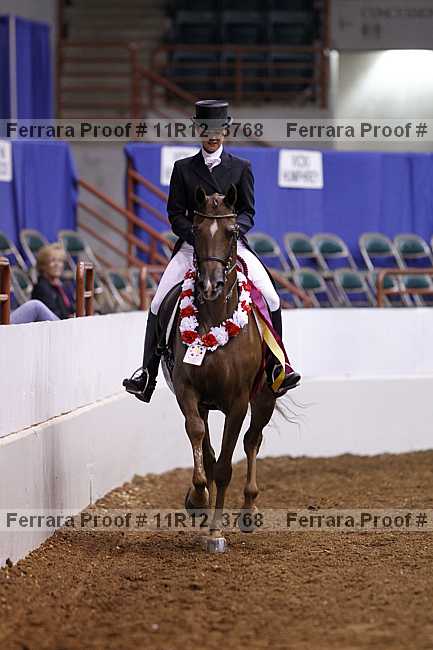 Proof 11r12_3768